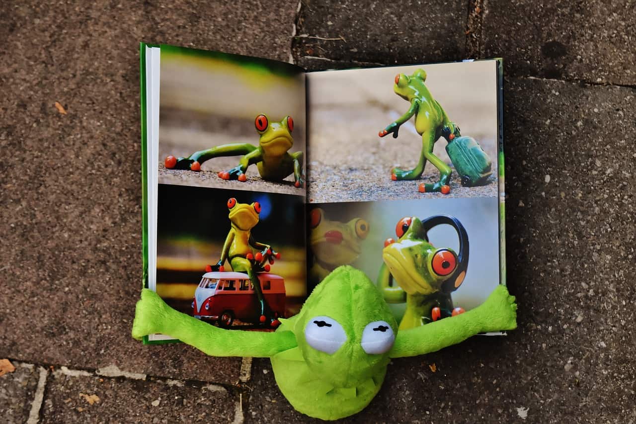 אלבום תמונות